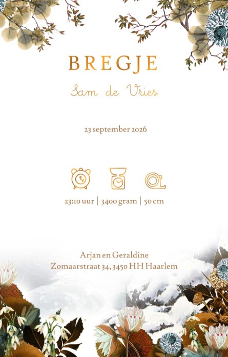 Een heel stijlvol geboortekaartje met originele illustratie en accent in folie. Zwanen op een bevroren sloot in Nederland. Winter en sneeuw landschap, prachtige bomen en planten flankeren het geboortekaartje. Illustratief en toch sereen geboortekaartje vo