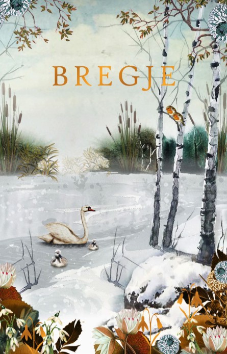 Geboortekaartje winter sloot met ijs en zwanen