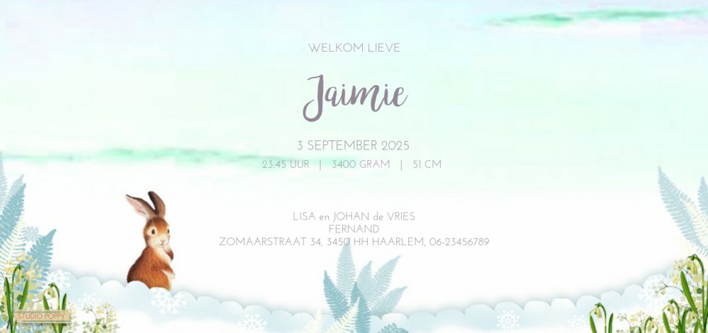 Geboortekaartje retro winter tuin met wiegje en grote zus. De winter is ingetreden en overal ligt een romantisch laagje sneeuw. Leuk voor wanneer jullie kindje in de winter maanden geboren zal worden. Retro geboortekaartje in het bos is een illustratief g