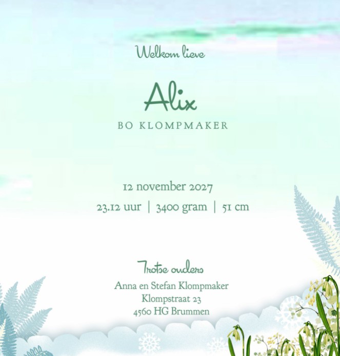 Geboortekaartje winter met mandje waar de baby in ligt. Broer of zus mag natuurlijk niet ontbreken in dit winter geboortekaartje met sneeuw en sneeuwklokjes. Vraag eens een proefdruk aan en haal het kaartje in huis!