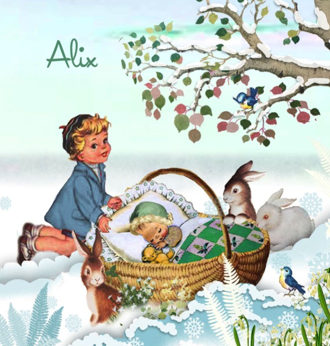 Geboortekaartje retro winter met broer of zus