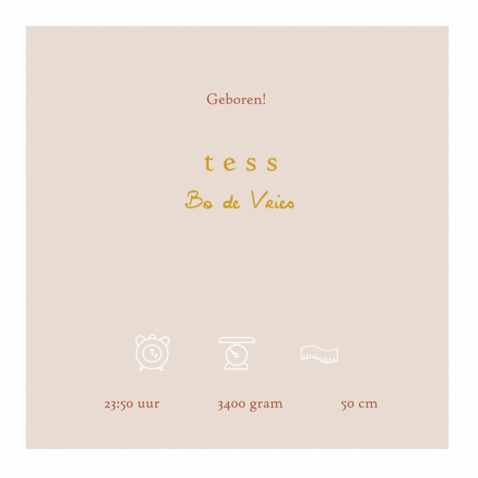 Geboortekaartje woestijn bergen met kamelen alsof je op ibiza of in Marokko bent. Prachtige kleuren met speelse sterren en een maan. Palmen maken het een warm geheel. Er zijn 4 soorten foliedruk te selecteren: goudfolie, zilverfolie, koperfolie en rosegou