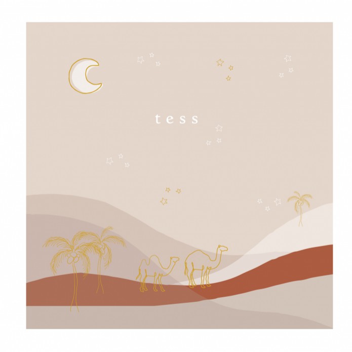 Geboortekaartje woestijn bergen met kamelen