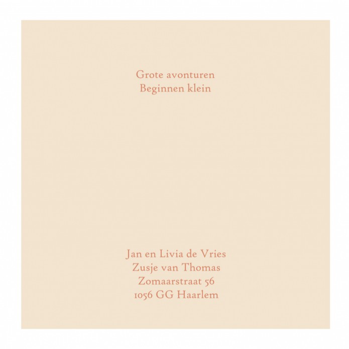 Geboortekaartje woestijn met palm en maan, heel sfeervol sereen geboortekaartje in bohemian stijl. Je waant je op ibiza of in Marokko. De ontwerpstudio maakt dat ene unieke geboortekaartje speciaal voor jou. Je mag hem zelf bewerken in de editor, vraag ee