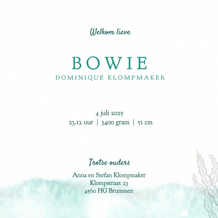 Geboortekaartje zee wereld onder water met walvis en inktvis. Prachtige illustratie van de onderwater wereld. Een spektakel om te zien en gezellig avontuurlijk geboortekaartje. De zee met al zijn planten en koralen. Vraag eens een gratis proefdruk aan.