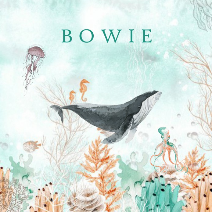 Geboortekaartje zee wereld onder water met walvis en inktvis