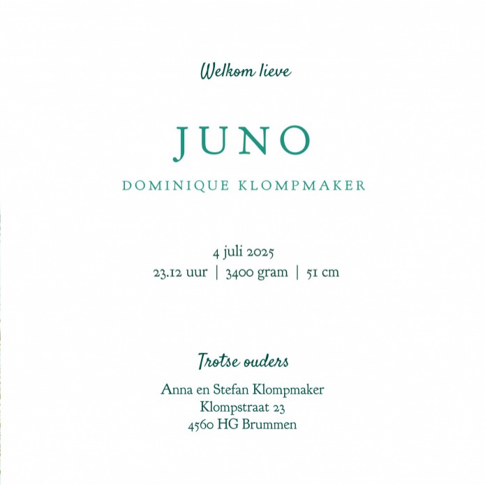 Geboortekaartje zeedieren in de oceaan. Ze zijn allemaal vertegenwoordigd, de walvis, zeepaardje, octopus en schildpad onder water. Weelderige koralen en zee planten flankeren dit geboortekaartje in zee thema. Vraag eens de gratis proefkaart aan en bekijk