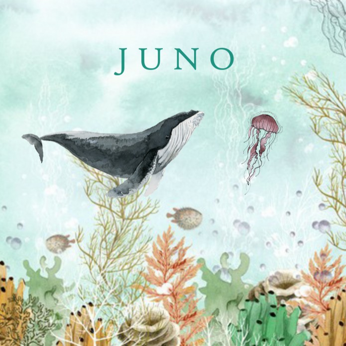 Geboortekaartje zeedieren in de oceaan