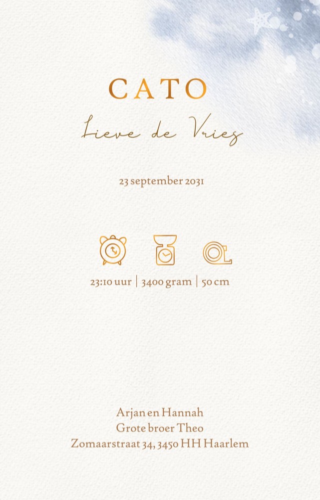 Geboortekaartje met een lief walvisje in de zee. Prachtige watercolor details voor een trendy zeedieren geboortekaartje. Onderzee wereld is ook te zien met schelpjes en zeester.