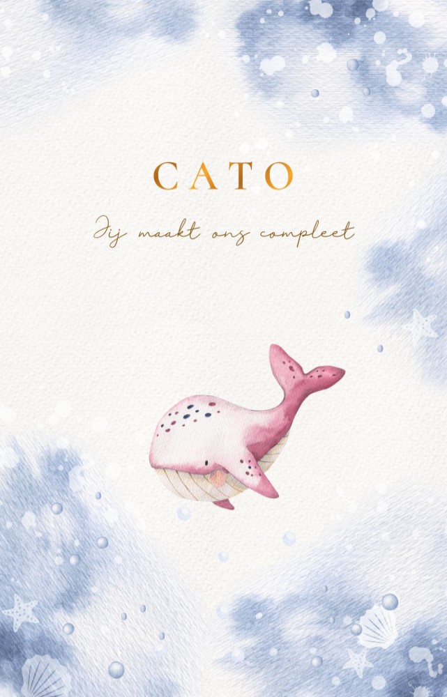 Geboortekaartje zeedieren met walvissen