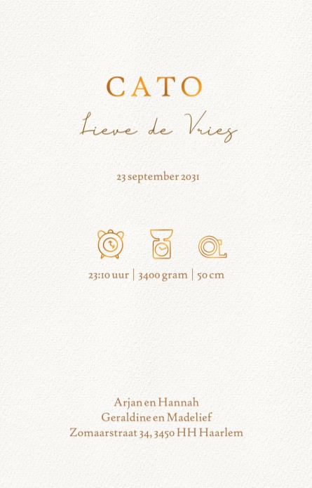 Geboortekaartje met grote zus en een grote bos bloemen voor het pasgeboren kindje in mozeswiegje. Ze komt samen met haar broertje even kijken wie het nieuwe gezinslid is en het derde kindje is meer dan welkom!