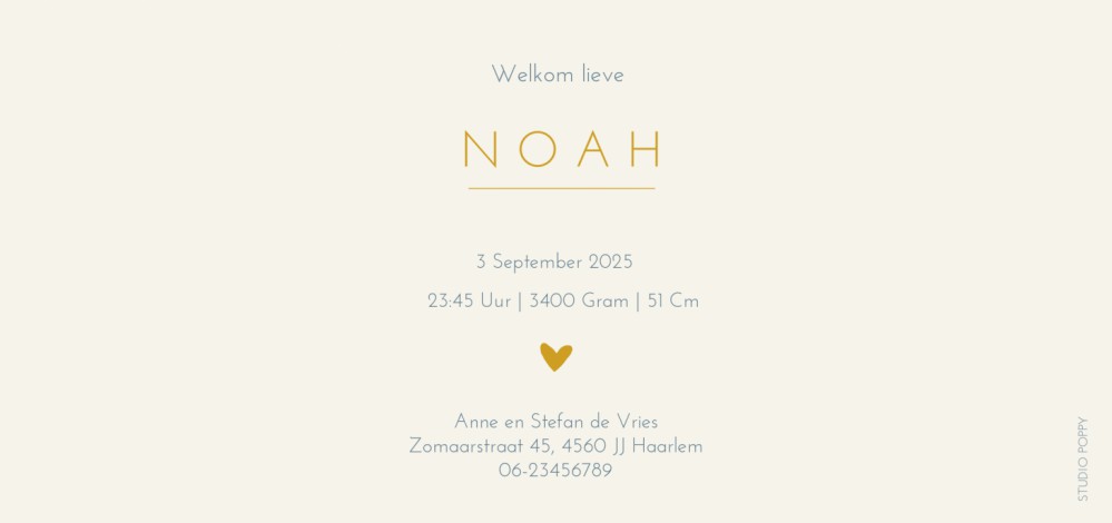 Romantisch geboortekaartje met lief bloemen patroon. In combinatie met folie een heel lux geboortekaartje waar aandacht aan besteed is. Prachtige papiersoorten en enveloppen beschikbaar. Vraag eens een proefkaart aan om de kwaliteit zelf te ervaren.