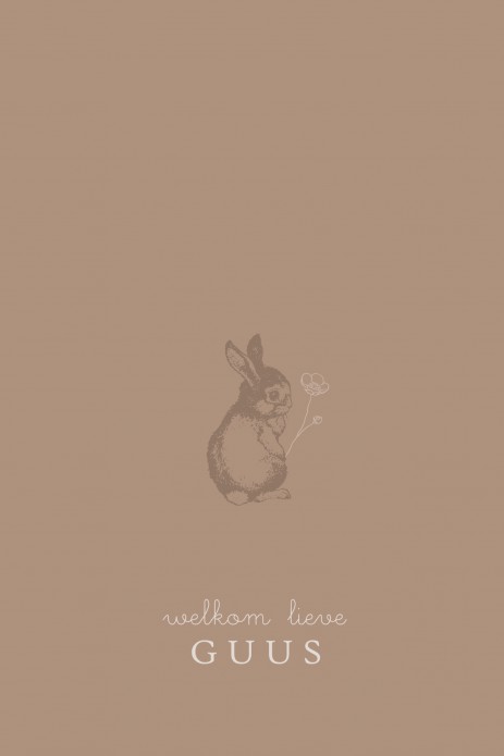 Geboortekaartje vintage konijntje met bloem