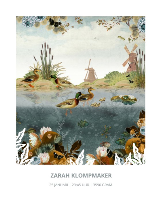 Geboorteposter Hollands slootje