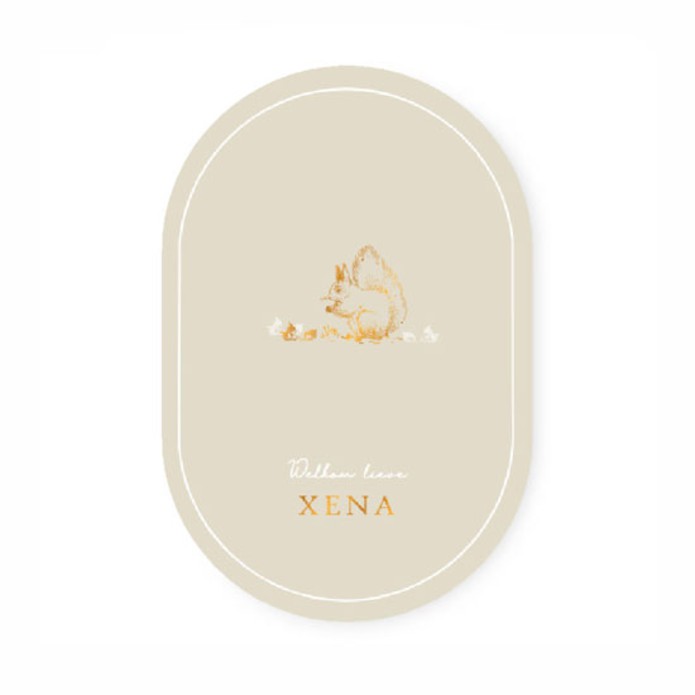 Geboortekaartje in ovaal vorm met lijntekening van een eekhoorn. Een mooi kadertje geeft de geboortekaart een klassiek tintje. De neutrale kleuren maken het helemaal af en zijn naar wens aan te passen.