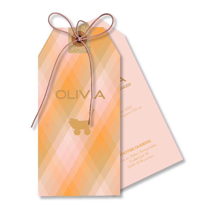 Labelkaartje ruit oranje met wandelwagentje