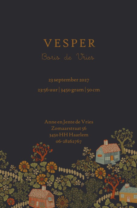 Geboortekaartje dorp met huisjes in boogvorm. De warme kleuren en bijzondere illustraties maken het een bijzonder geboortekaartje. Het illustratieve kader is in verschillende kleuren op te maken dus geheel naar wens aan te passen. Het kerkje, hekjes en hu