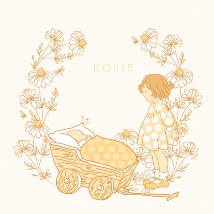Lief geboortekaartje met wandelwagentje en grote zus