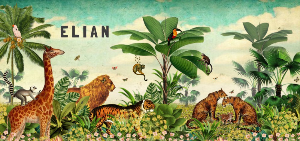 Panorama kaart jungle