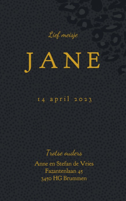 kaart binnenzijde rechts