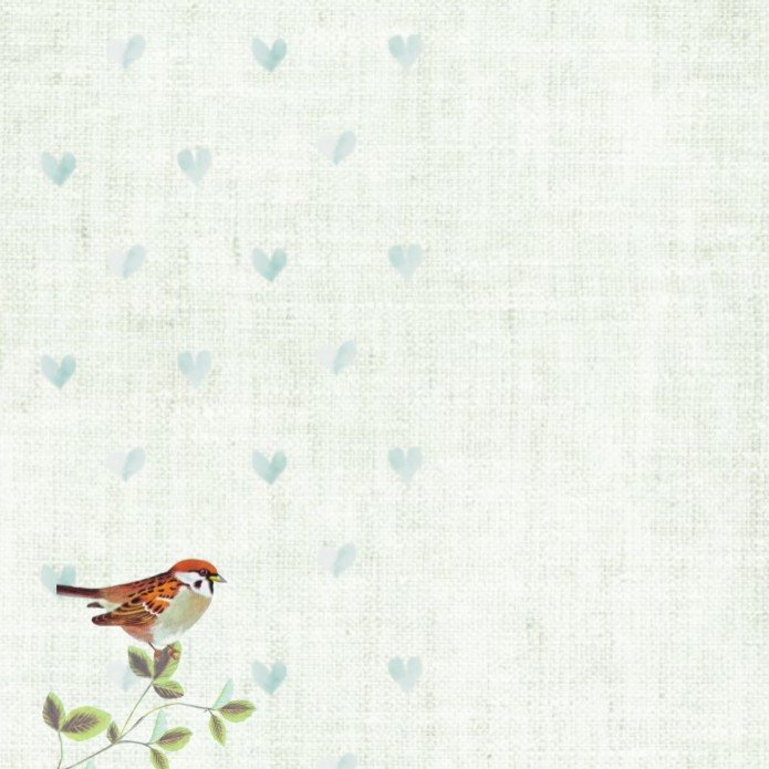 kaart binnenzijde links