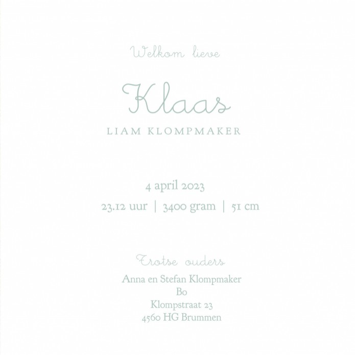 Retro geboortekaartje broertje met afbeeldingen van vroeger. Een wiegje, takje, vogeltje, het maakt het tot een vertederend en lief geboortekaartje. Met vintage elementen en retro elementen is het een tijdloos geboortekaartje. Op dit kaartje staat grote b