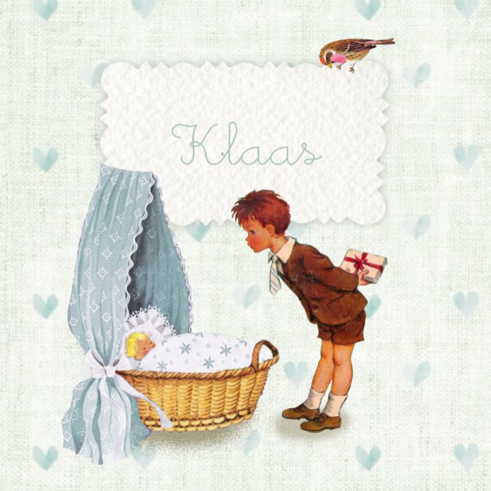 Retro geboortekaartje broertje