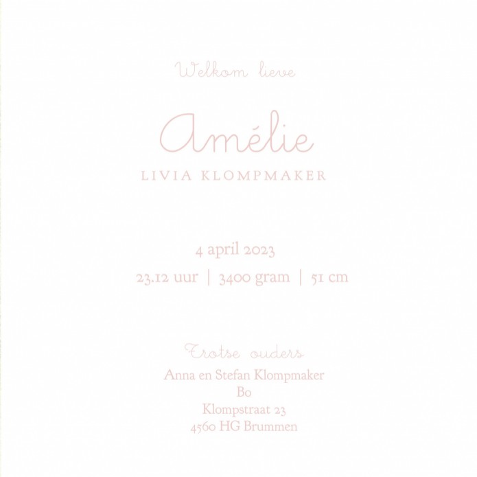 Geboortekaartje retro zusje met afbeeldingen van vroeger. Een wiegje, takje, vogeltje, het maakt het tot een vertederend en lief geboortekaartje. Met vintage elementen en retro elementen is het een tijdloos geboortekaartje. Vraag eens de gratis proefkaart