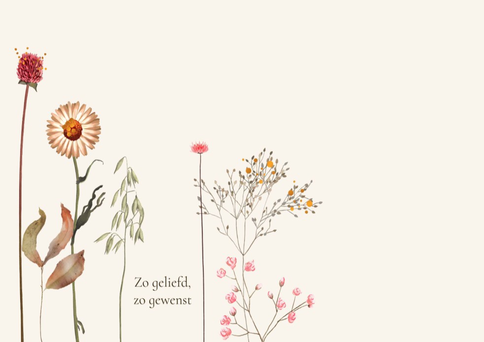 kaart binnenzijde links