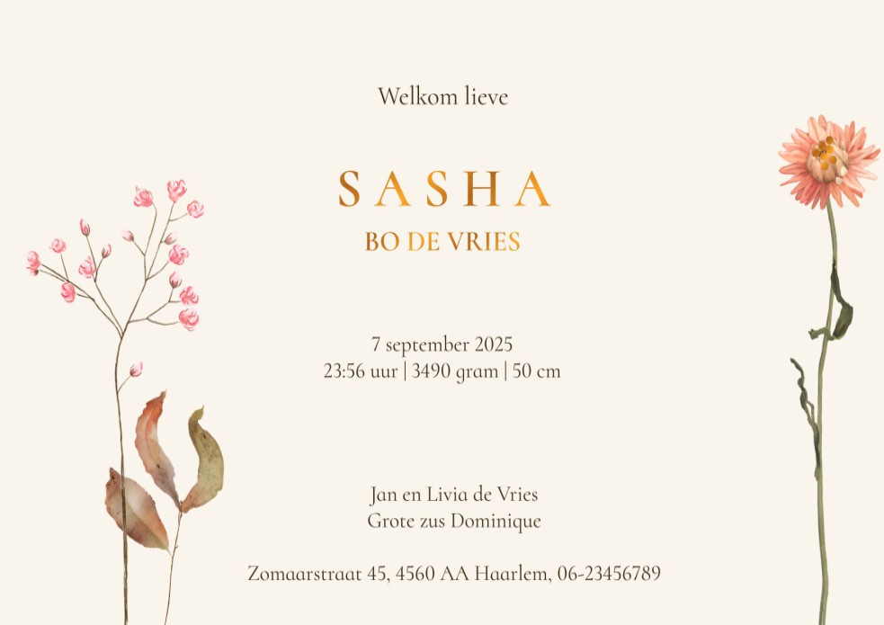 Geboortekaartje romantisch met veldbloemen. Een rustig en sereen geboortekaartje met folie en bloemen die aan de lente beginnen. De veldbloemen zijn willekeurig gerangschikt. Met de editor geef je ze jouw eigen plaatsje.