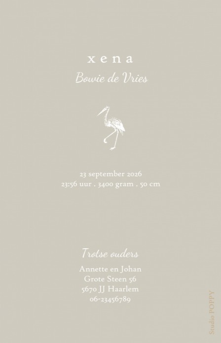 Klassiek geboortekaartje met foto. De typografie met 'Welkom' maakt het een ècht design kaartje! Kleine botanische takjes erbij en jouw klassieke foto geboortekaartje met een twist is een feit. Prachtige papiersoorten en enveloppen beschikbaar. Vraag eens