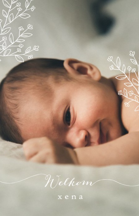 Klassiek geboortekaartje met foto. De typografie met 'Welkom' maakt het een ècht design kaartje! Kleine botanische takjes erbij en jouw klassieke foto geboortekaartje met een twist is een feit. Prachtige papiersoorten en enveloppen beschikbaar. Vraag eens