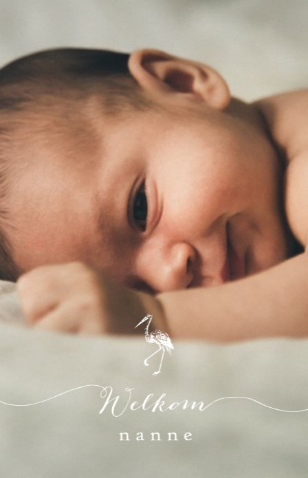 Geboortekaartje foto met ooievaar