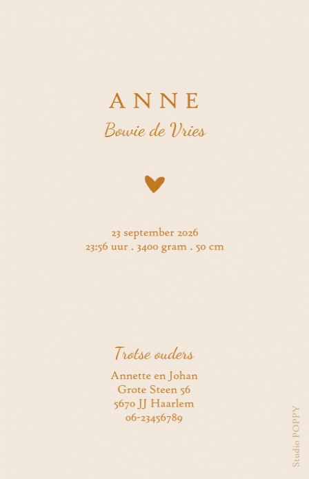 Geboortekaartje foto romantisch met botanische takjes. Prachtig klassiek geboortekaartje op eigentijdse wijze. Met de ontwerptool kun je jouw hippe geboortekaartje ontwerpen zoals jij dat wil. Met of zonder foliedruk. Een proefkaartje is eenvoudig te best