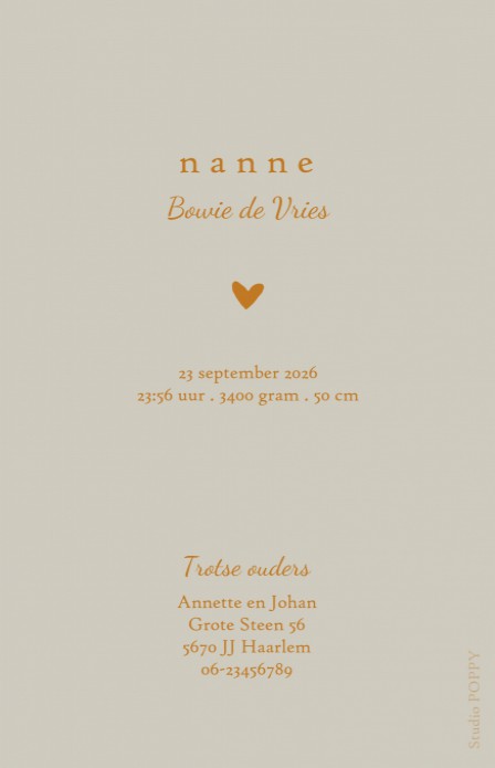 Klassiek geboortekaartje met foto en foliedruk. De typografie met 'Welkom' maakt het een ècht design kaartje! Kleine botanische takjes erbij en jouw klassieke foto geboortekaartje met een twist is een feit. Prachtige papiersoorten en enveloppen beschikbaa