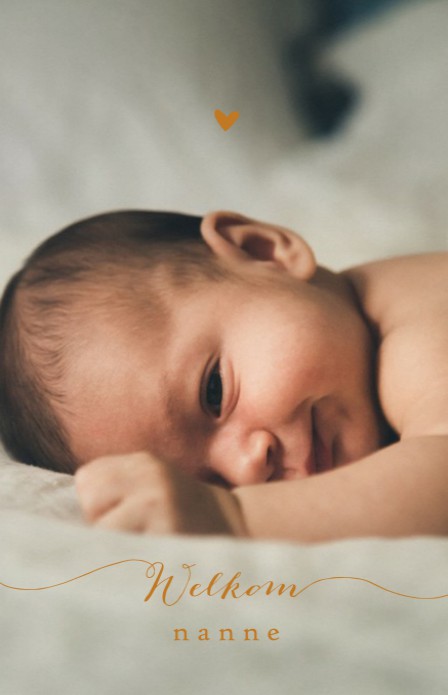 Klassiek geboortekaartje met foto en foliedruk. De typografie met 'Welkom' maakt het een ècht design kaartje! Kleine botanische takjes erbij en jouw klassieke foto geboortekaartje met een twist is een feit. Prachtige papiersoorten en enveloppen beschikbaa