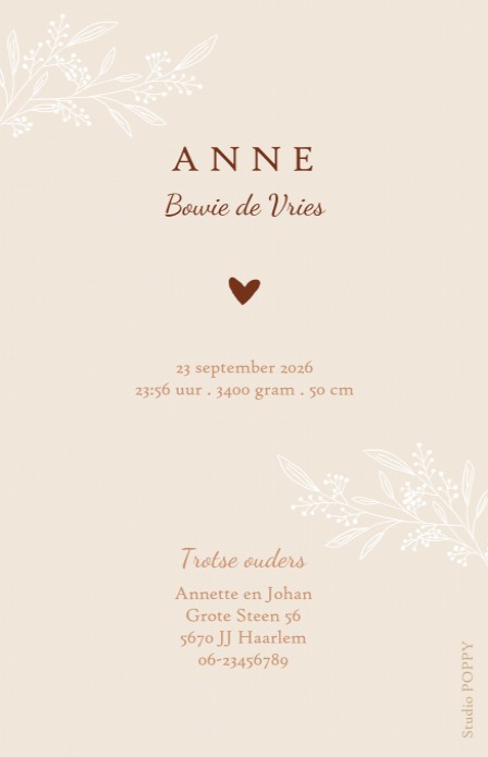 Geboortekaartje foto romantisch met botanische takjes. Prachtig klassiek geboortekaartje op eigentijdse wijze. Met de ontwerptool kun je jouw hippe geboortekaartje ontwerpen zoals jij dat wil. Met of zonder foliedruk. Een proefkaartje is eenvoudig te best