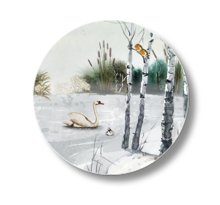 Sluitsticker ijs op de sloot