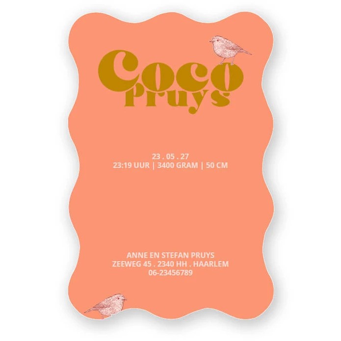 Geboortekaartje met golvende rand met color blocking strepen. Een echte eye catcher en vrolijk geboortekaartje. De bijzondere rand maakt het een unieke geboortekaart.