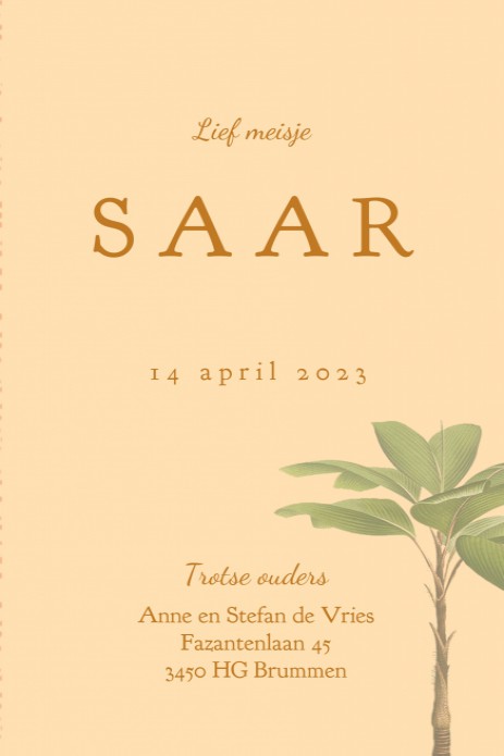 kaart binnenzijde rechts