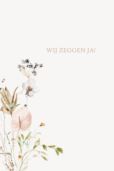 kaart binnenzijde links