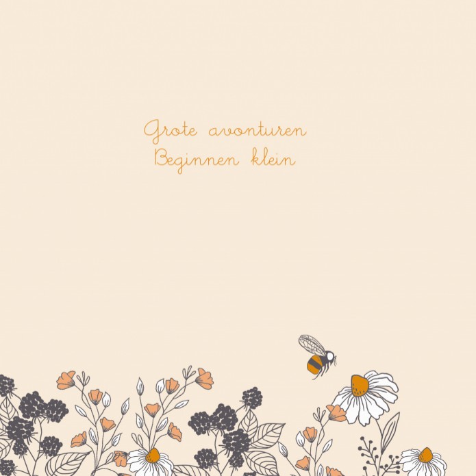 kaart binnenzijde links