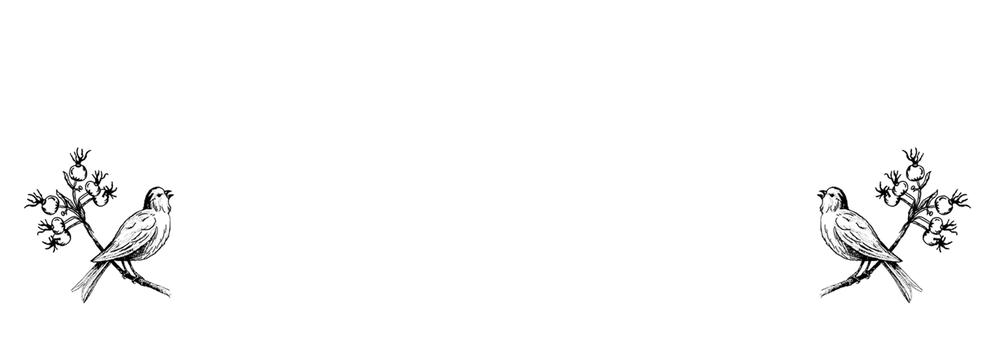 Adresetiket vogeltjes