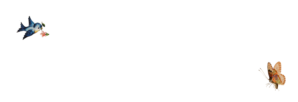 Adresetiket vogeltje en vlinder