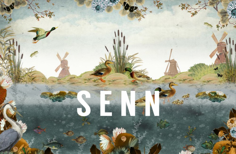 Geboortekaartje Nederland water met eenden en molens