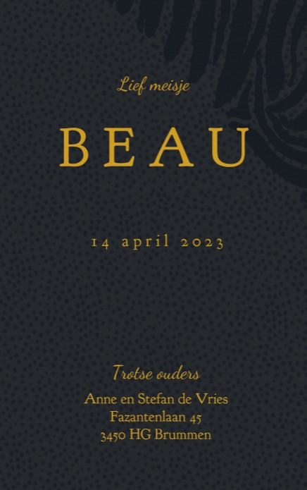 kaart binnenzijde rechts