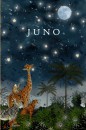 Geboortekaartje jungle in de nacht met maan en sterren voor